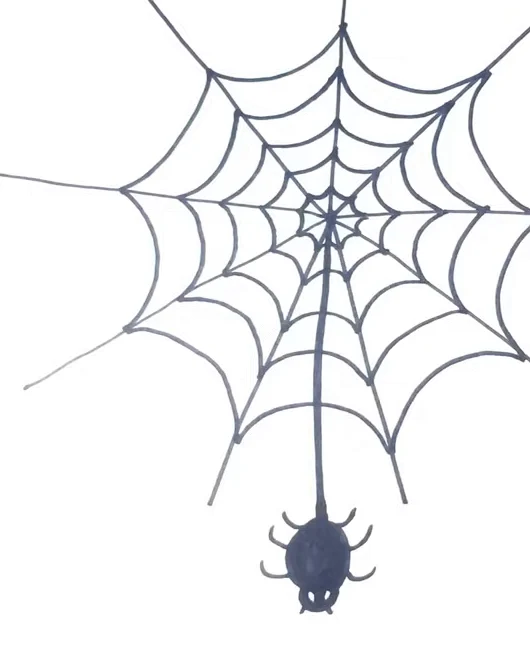 Spider web drawing step 5: the finished web with a spider